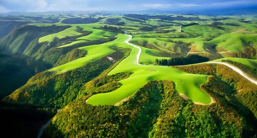 Green forest and mountain landscape in New Zealand
